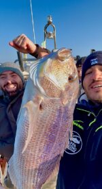 Traina col vivo - immagine 3