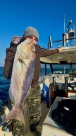 Traina col vivo - immagine 6