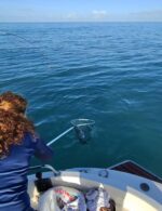 Pesca a Bolentino Fondali Medi e Profondi - immagine 10