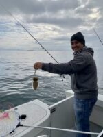 Eging alle seppie - immagine 3