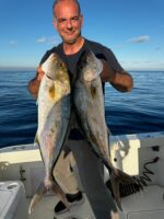 Traina col vivo - immagine 12