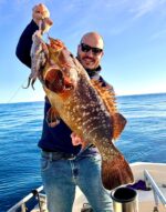 Traina col vivo - immagine 14