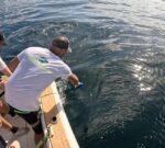 Drifting ai Tonni Giganti - immagine 5