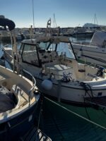 Guida con Supporto Nautico - immagine 6