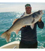 Traina costiera - immagine 2