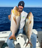 Traina col vivo - immagine 2