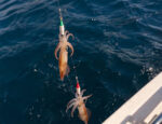 Pesca ai calamari con la tombolella napoletana - immagine 5