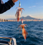 Pesca ai calamari con la tombolella napoletana - immagine 6